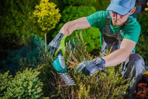 landscaping services Onekama